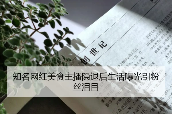 知名网红美食主播隐退后生活曝光引粉丝泪目